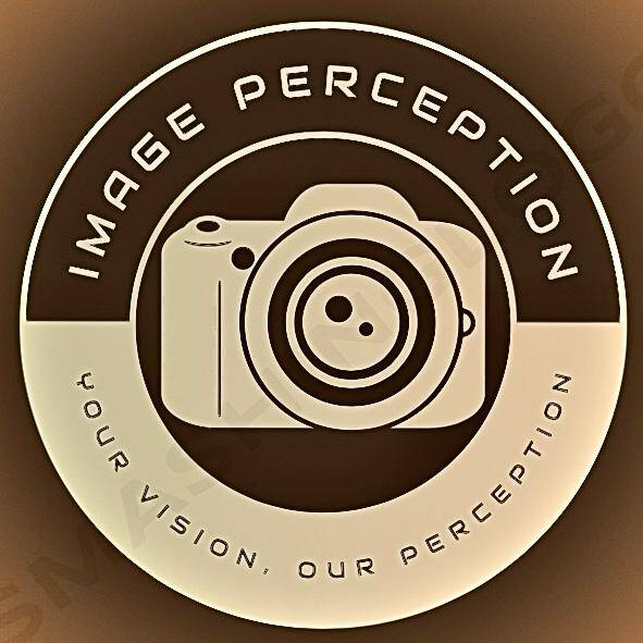 Image Perception